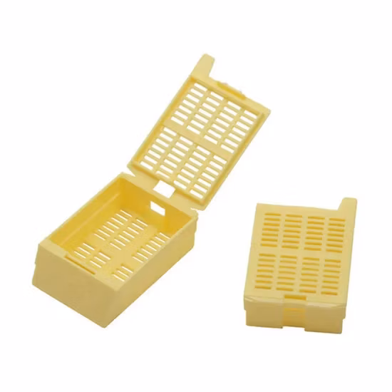 Одноразовые лабораторные пластиковые кассеты с круглыми отверстиями для заливки гистологических тканей