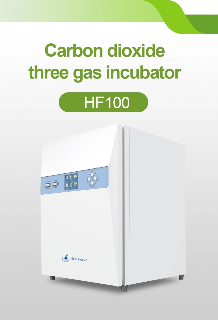 CO2 Incubator Biology Laboratory Equipment Cell Culture Incuabtor CO2 Incubator