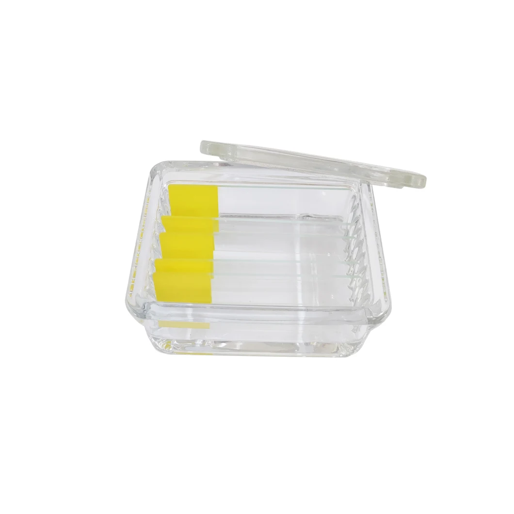 Lab Consumable High-Quality Slide Staining Jar