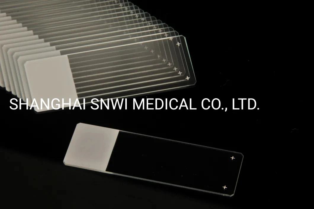 Disposable Medical Lab Consumable Polishing Adhesion Microscope Slides Frosted Ground Edge